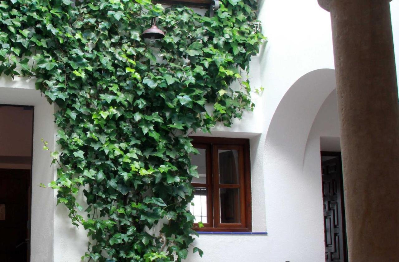 Apartamentos Los Patios De La Juderia Córdoba Dış mekan fotoğraf