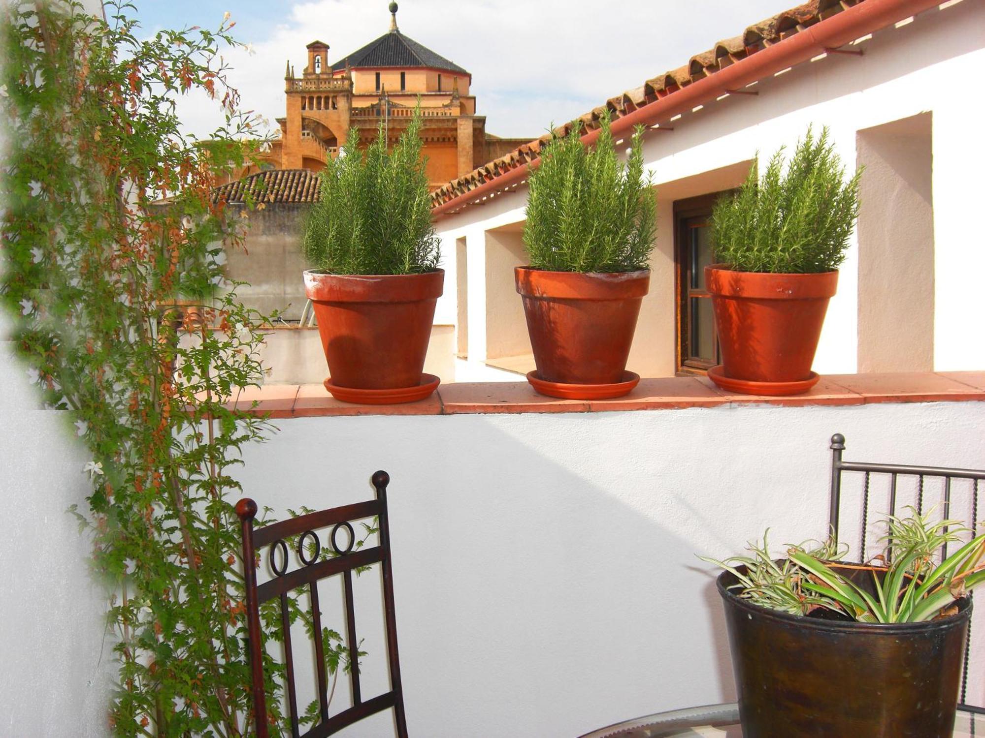 Apartamentos Los Patios De La Juderia Córdoba Dış mekan fotoğraf